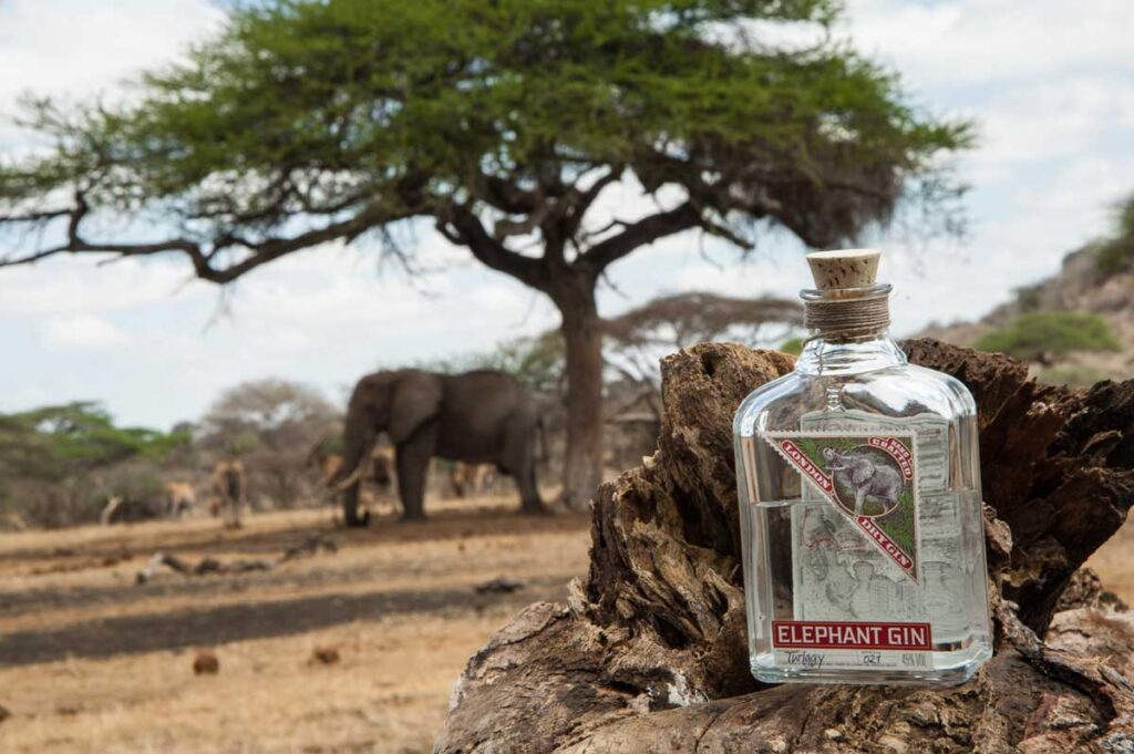 Elephant Gin